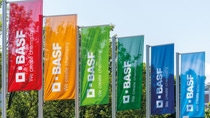 BASF-Fahnen am Standort Ludwigshafen