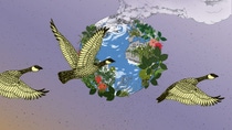 An illustration of three birds flying in front of a depiction of the earth with plants and building growing out of it