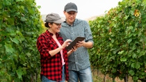 Wine and table grape growers using xarvio FIELD MANAGER For Fruits & Veggies will get timely and precise agronomic advice to boost production. 
Photo: BASF SE