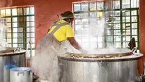 A woman stands in front of a huge vat of rice and stirs it. A woman stands in front of a huge vat of rice and stirs it.