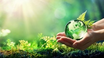 Hands Holding Globe Glass In Green Forest - Environment Concept