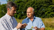 Two men looking closely looking at plants and analyzing them.