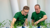 Weizen ist mit einem Volumen von über 770 Millionen Tonnen pro Jahr eines der wichtigsten Getreide der Welt. Die Weizenerträge müssen in den kommenden Jahren deutlich gesteigert werden. Dieses Ziel wird aufgrund der begrenzten Anbauflächen und der durch den Klimawandel verursachten Ernteausfälle immer schwieriger zu erreichen sein. Durch ein global ausgerichtetes und lokal zugeschnittenes Züchtungsprogramm entwickelt BASF neuen Hybridweizen mit wertvollen Merkmalen für Ertrags- und Qualitätssteigerung sowie Krankheits- und Insektenresistenz. .Versuchstechniker Thomas Debaeke (links) und Joris Van Deuren (rechts) prüfen Hybridweizen im BASF Innovation Center Gent in Belgien. Weizen ist mit einem Volumen von über 770 Millionen Tonnen pro Jahr eines der wichtigsten Getreide der Welt. Die Weizenerträge müssen in den kommenden Jahren deutlich gesteigert werden. Dieses Ziel wird aufgrund der begrenzten Anbauflächen und der durch den Klimawandel verursachten Ernteausfälle immer schwieriger zu erreichen sein. Durch ein global ausgerichtetes und lokal zugeschnittenes Züchtungsprogramm entwickelt BASF neuen Hybridweizen mit wertvollen Merkmalen für Ertrags- und Qualitätssteigerung sowie Krankheits- und Insektenresistenz. .Versuchstechniker Thomas Debaeke (links) und Joris Van Deuren (rechts) prüfen Hybridweizen im BASF Innovation Center Gent in Belgien.