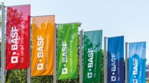 BASF flags at the Ludwigshafen site BASF flags at the Ludwigshafen site