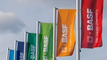 epa07677649 (FILE) - Flags with the logo of German chemicals company BASF fly in front of a building in Ludwigshafen, Germany, 27 February 2018 (reissued 27 June 2019) Reports on 27 June 2019 state German chemicals giant BASF is to cut its global workforce by 6,000 jobs until the end of 2021. Half of the jobs will be lost in Germany, with most cuts taking place at the company headquarters in Ludwigshafen. BASF said it hopes to save some 300 million euro annually.  EPA-EFE/RONALD WITTEK