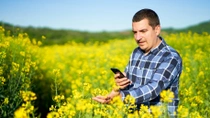 A farmer is standing in a field of yellow oilseed rape flowers, holding a smartphone and examining the plants. The background features an expansive landscape with more yellow flowers and green hills under a clear sky. A farmer is standing in a field of yellow oilseed rape flowers, holding a smartphone and examining the plants. The background features an expansive landscape with more yellow flowers and green hills under a clear sky.