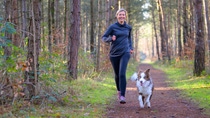 Happy woman full of vitality exercising her dog as they run together along a footpath through forest trees in a healthy active lifestyle concept Happy woman full of vitality exercising her dog as they run together along a footpath through forest trees in a healthy active lifestyle concept