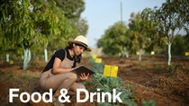 Female farmer looks at plants in the field. Female farmer looks at plants in the field.