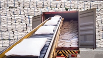 White bags of sugars from warehouse are staffing in container for export (Picture credit: Adobe Stock).