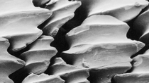 A close up of the riblets in a shark's skin. Sharks swim amazingly efficiently thanks to tiny ‘ribs’ on the surface of their skin. 