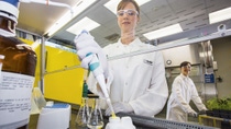 Female employee in a lab working 