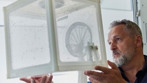 Malaria expert Justin McBeath observes mosquitoes in the lab