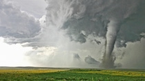 Campo, CO, tornado seen in sharp contrast with yellow wildflowers and clear skies