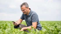 Older man in a grey polo crouched down looking at his phone in a green field Older man in a grey polo crouched down looking at his phone in a green field