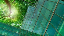 Eco-friendly building in the modern city. Green tree branches with leaves and sustainable glass building for reducing heat and carbon dioxide. Office building with green environment. Go green concept. Eco-friendly building in the modern city. Green tree branches with leaves and sustainable glass building for reducing heat and carbon dioxide. Office building with green environment. Go green concept.