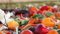 Different fruits and vegetables which are thrown away
