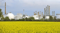 The towers of the aromatics plant on Friesenheim Island, a part of BASF’s Ludwigshafen Verbund site, are visible in the background. This facility can supply the Verbund with up to 300,000 metric tons of benzene per year. It is one of the central Verbund plants that are directly linked to both steam crackers. The steam crackers produce a number of important basic chemical products, including in particular ethylene and propylene. The towers of the aromatics plant on Friesenheim Island, a part of BASF’s Ludwigshafen Verbund site, are visible in the background. This facility can supply the Verbund with up to 300,000 metric tons of benzene per year. It is one of the central Verbund plants that are directly linked to both steam crackers. The steam crackers produce a number of important basic chemical products, including in particular ethylene and propylene.
