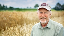 Mark Sorrells stands in the middle of a wheat field. Mark Sorrells stands in the middle of a wheat field.