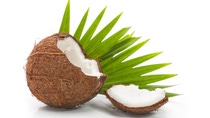 half open coconut with green leaf in the background half open coconut with green leaf in the background