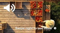 A farmer wearing a hat is standing outdoors on a wooden deck next to several crates filled with various types of tomatoes. A farmer wearing a hat is standing outdoors on a wooden deck next to several crates filled with various types of tomatoes.