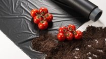 With ecovio® M 2351, BASF offers a certified soil-biodegradable plastic for mulch films consisting of the biodegradable co-polyester polybutylene adipate terephthalate (PBAT) ecoflex® and other biodegradable polymers made from renewable raw materials. Mulch films made of ecovio® M 2351 can be ploughed into the soil after mechanical harvest as naturally occurring micro-organisms in the soil recognize the structure of the film as food they can metabolize. When growing tomatoes, mulch films made of ecovio® can lead to an increased yield from 15 to 50 percent, less water consumption and a better weed control with less herbicides compared to bare-soil farming. With ecovio® M 2351, BASF offers a certified soil-biodegradable plastic for mulch films consisting of the biodegradable co-polyester polybutylene adipate terephthalate (PBAT) ecoflex® and other biodegradable polymers made from renewable raw materials. Mulch films made of ecovio® M 2351 can be ploughed into the soil after mechanical harvest as naturally occurring micro-organisms in the soil recognize the structure of the film as food they can metabolize. When growing tomatoes, mulch films made of ecovio® can lead to an increased yield from 15 to 50 percent, less water consumption and a better weed control with less herbicides compared to bare-soil farming.