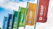 Six flags that each showcase the BASF logo in the brand colours.