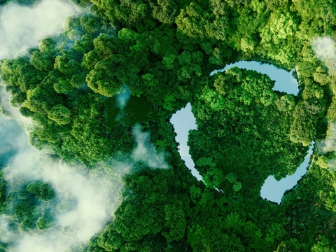 Forest with Recycling Symbol Forest with Recycling Symbol