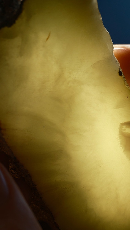 Close-up shimmering yellow mineral. Close-up shimmering yellow mineral.