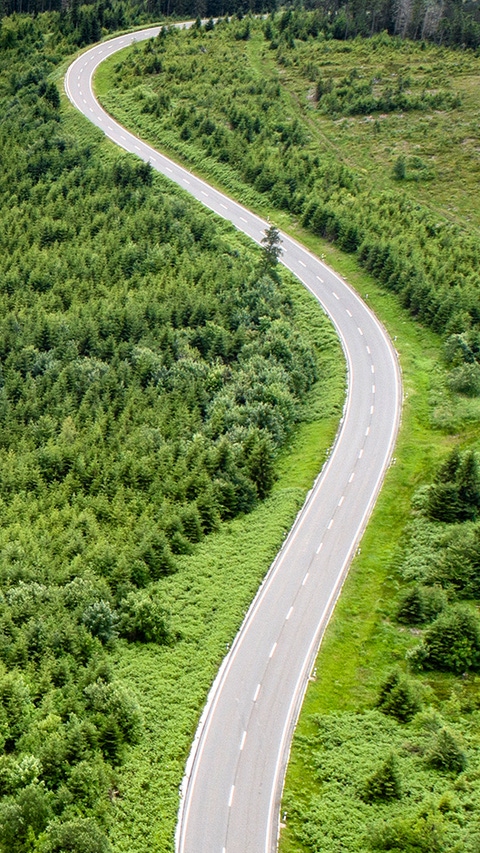 Visual Sustainable investing: A road curves through a green forest landscape