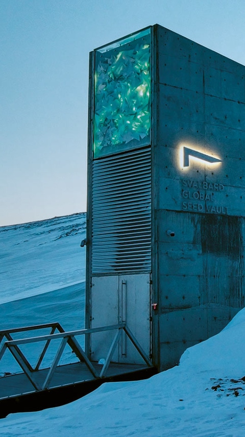 The Global Seed Vault in Spitsbergen, Norway, shrouded in snow. The Global Seed Vault in Spitsbergen, Norway, shrouded in snow.