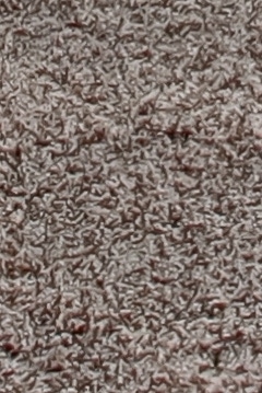 Grey house interior of living room with firwplace and carpet floor. Windows overlooking back yard.