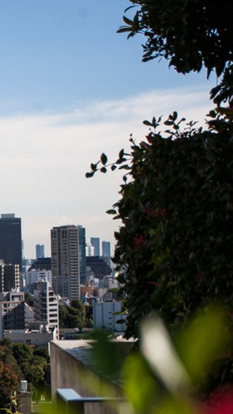 Landscape view of a city surrounded by high rises Landscape view of a city surrounded by high rises