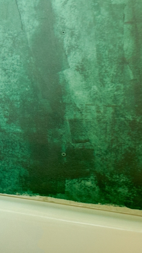 After mudding the sheetrock, the cement board is covered with an impervious membrane to stop any moisture from passing through to the walls. After mudding the sheetrock, the cement board is covered with an impervious membrane to stop any moisture from passing through to the walls.