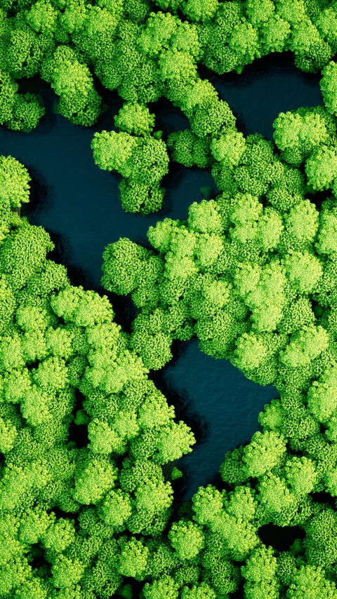 Rainforest lakes in the shape of world continents. Environmentally friendly sustainable development concept. 3D illustration. Rainforest lakes in the shape of world continents. Environmentally friendly sustainable development concept. 3D illustration.