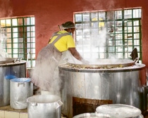 Eine Frau steht vor einem riesigen Bottich Reis und rührt um.