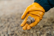 Detailed view of a catalyst produced based on 3D printing technology. With the new X3D® catalyst shaping technology, BASF has achieved a technological breakthrough in catalyst manufacturing. The innovative technology is based on 3D printing and can produce catalysts with customized geometrical shapes offering optimized performance and efficiency.
Photo: BASF Detailed view of a catalyst produced based on 3D printing technology. With the new X3D® catalyst shaping technology, BASF has achieved a technological breakthrough in catalyst manufacturing. The innovative technology is based on 3D printing and can produce catalysts with customized geometrical shapes offering optimized performance and efficiency.
Photo: BASF