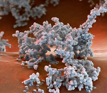 BASF’s specialty zeolites based on crystalline alumosilicates play a key role in diesel automotive emission catalysts to reduce harmful NOx emissions. Magnification 8000:1 (15cm in width)