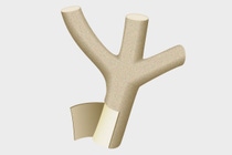 Illustration der Baumrinde des Rambutan- Baums Illustration der Baumrinde des Rambutan- Baums