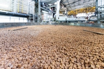 BASF beliefert bereits interne und externe Kunden mit X3D-Katalysatoren. Hier wird der Reaktor einer chemischen Anlage am BASF-Standort Ludwigshafen befüllt
Foto: BASF