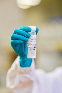 A research sample of a biodegradable functional polymer that Liqun Ren tested in her lab.
