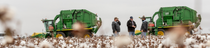 The picture shows two large green cotton harvesting machines in a cotton field with BASF cotton experts and farmers standing in front of them.