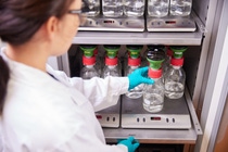 Liqun Ren in the lab.