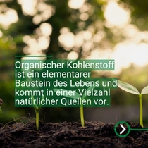 Junge Pflanzentriebe wachsen aus dunkler Erde im Gegenlicht einer sonnigen Waldszenerie. Junge Pflanzentriebe wachsen aus dunkler Erde im Gegenlicht einer sonnigen Waldszenerie.