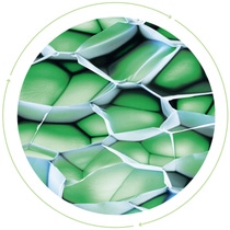 Close-up of Styrodur Close-up of Styrodur