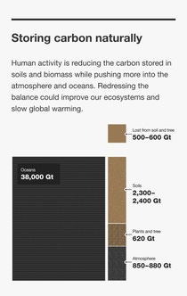 Infographic about storing carbon naturally. Infographic about storing carbon naturally.