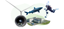 Climate Campaign Graphic with a shark, a diver and a wind turbine