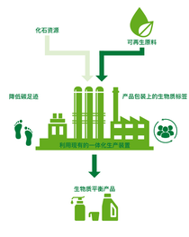 巴斯夫认证的生物质平衡方案信息图表 