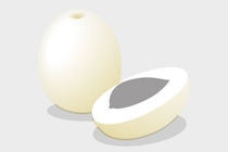 Illustration des Samens des Rambutan- Baums Illustration des Samens des Rambutan- Baums