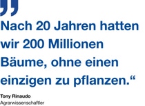 Zitat vom Agrarwissenschaftler Tony Rinaudo: ,,Nach 20 Jahren hatten wir 200 Millionen Bäume, ohne einen einzigen zu pflanzen.“ Zitat vom Agrarwissenschaftler Tony Rinaudo: ,,Nach 20 Jahren hatten wir 200 Millionen Bäume, ohne einen einzigen zu pflanzen.“