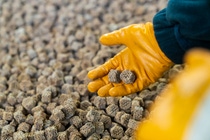 X3D-Katalysatoren der BASF können präzise auf die spezifischen chemischen Prozesse von Kunden zugeschnitten werden.
Foto: BASF